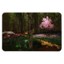 Search for cherry tree magnets Blossoms