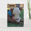Search for like a son cards Funny