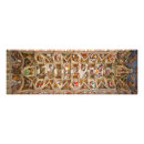 Search for ceiling posters Michelangelo