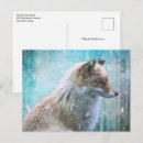 Search for furries postcards Nature