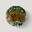 Search for guinea pig badges Cavy