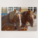 Search for equestrian puzzles Nature