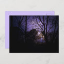 Search for lila postcards Purple