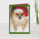 Search for bad santa cards Pomeranian