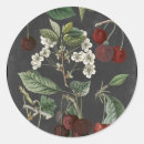 Search for botanical study stickers Fruits