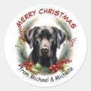 Search for pine needle stickers Wreath