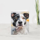 Search for dogs note cards Animal
