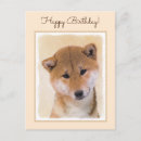 Search for inu postcards Shiba