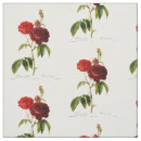 Search for deep red rose Roses