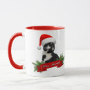 Search for sarcastic cat mugs Cute