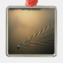Search for canal christmas tree decorations Transportation