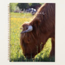 Search for highland cow office supplies Animal
