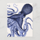 Search for sealife postcards Fabulous