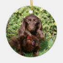 Search for long haired dachshund christmas tree decorations Bob and pam langrish