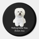 Search for bichons magnets Bichon frise