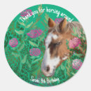 Search for appaloosa stickers Horse lover