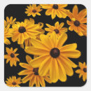 Search for black eyed susan flower stickers Yellow