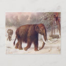 Search for prehistoric animals postcards Woolly mammoth