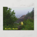 Search for acadia postcards Atlantic