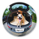 Search for dogs knobs and pulls Summer