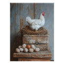 Search for chicken egg posters Poultry