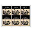 Search for pig food storage Humour