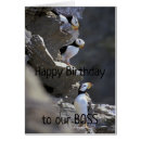 Search for boss humour invitations Animal