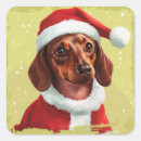 Search for dachshund stickers Animal