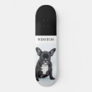 Search for dog skateboards Frenchie