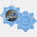 Search for blue jay christmas tree decorations Bird