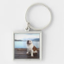 Search for outdoor key rings Vertical