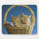 Search for bed mousepads Feline