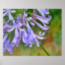 Search for flying bee art Watercolor