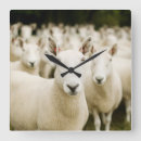 Search for farm clocks Field