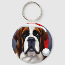 Search for bernard key rings Cute