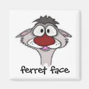 Search for ferret magnets Weasel