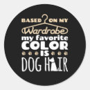Search for hair colour stickers Funny