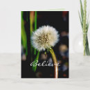 Search for dandelion make a wish cards Blowball