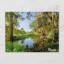 Search for florida postcards Orlando