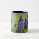 Search for lupine mugs Garden
