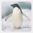 Search for cold temperature stickers Penguin