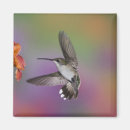 Search for in flight magnets Bird