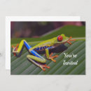 Search for frog invitations Colourful