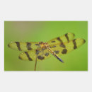 Search for golden wings stickers Wildlife