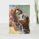 Search for tiger christmas cards Animals