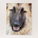 Search for alsatian puzzles Dogs