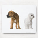 Search for front view mousepads Full length