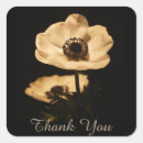 Search for anemone flower stickers Elegant