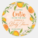 Search for clementine orange stickers Watercolor