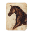 Search for dark brown magnets Decorative
